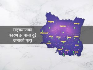 कोशीमा डेङ्गु सङ्क्रमण बढ्यो, कुन जिल्लामा कति ?